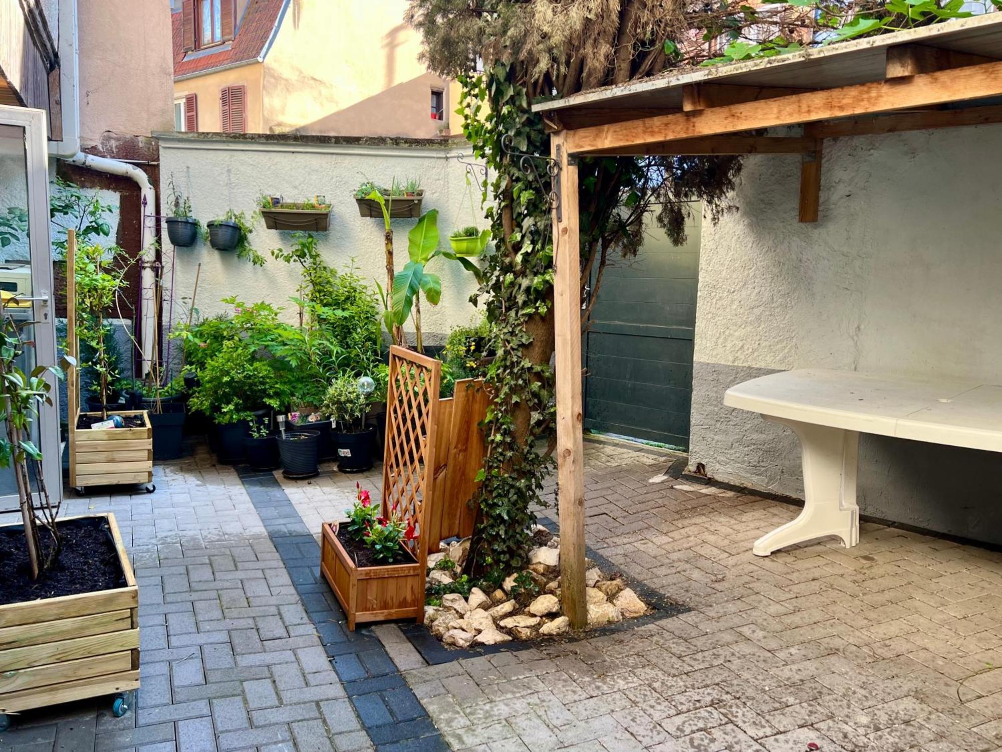 Gîte du Figuier 4 à 6 personnes Sélestat Centre-Alsace Exterior foto