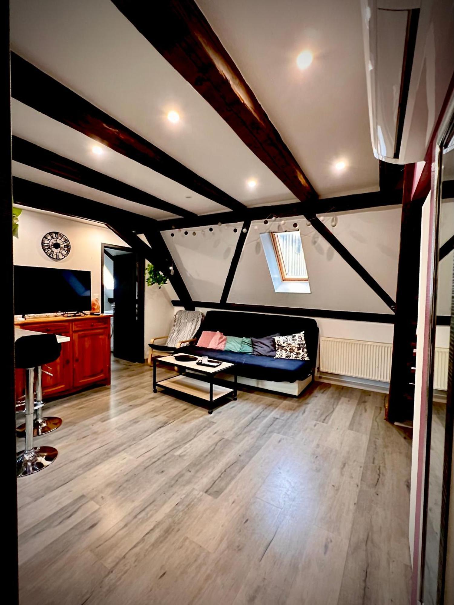 Gîte du Figuier 4 à 6 personnes Sélestat Centre-Alsace Exterior foto